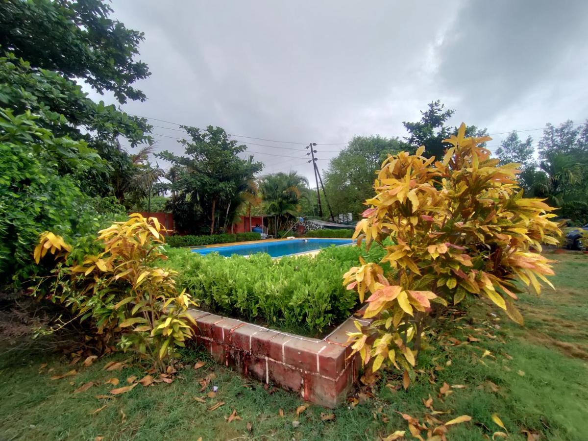 Opulence Resort Awas Alibaug Alībāg Eksteriør billede